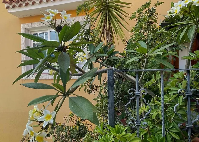 Apartamentos Ana