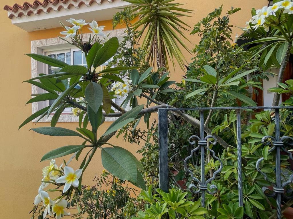 Ana Apartament